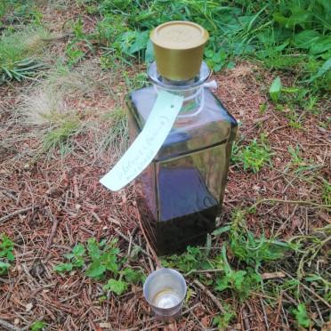 kleine Flasche mit selbstgebranntem Pödelwitzer Walnussschnaps auf Waldboden